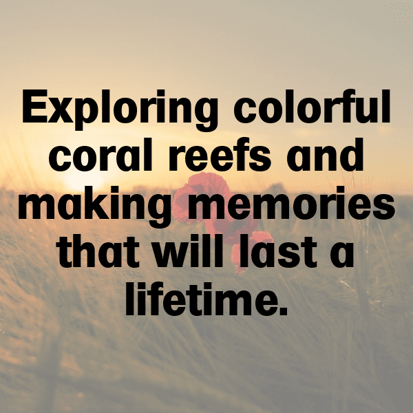 Grenada Captions Photo For Instagram-mpSlCl