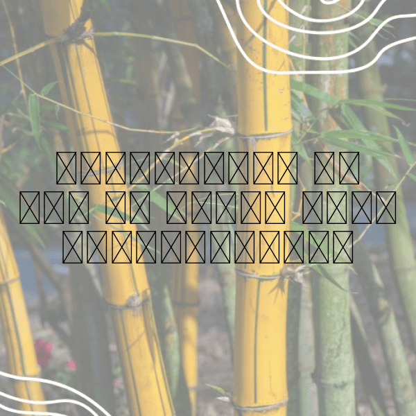 Grumichama Captions Photo For Instagram-LZiTSV