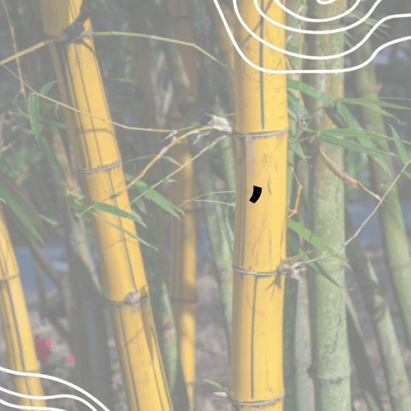 Guitar Hero Captions Image for Instagram-iDwzm2