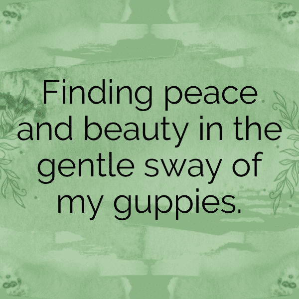 Guppy Captions Image For Instagram-CpkRdi