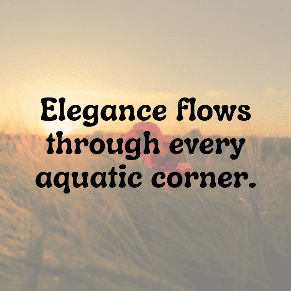 Guppy Captions Photo For Instagram-UTjcni