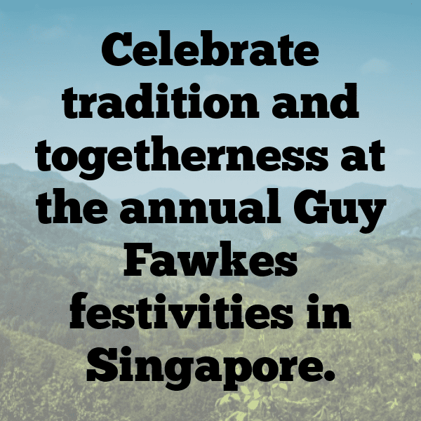 Guy Fawkes Night Captions Photo for Instagram-1694To