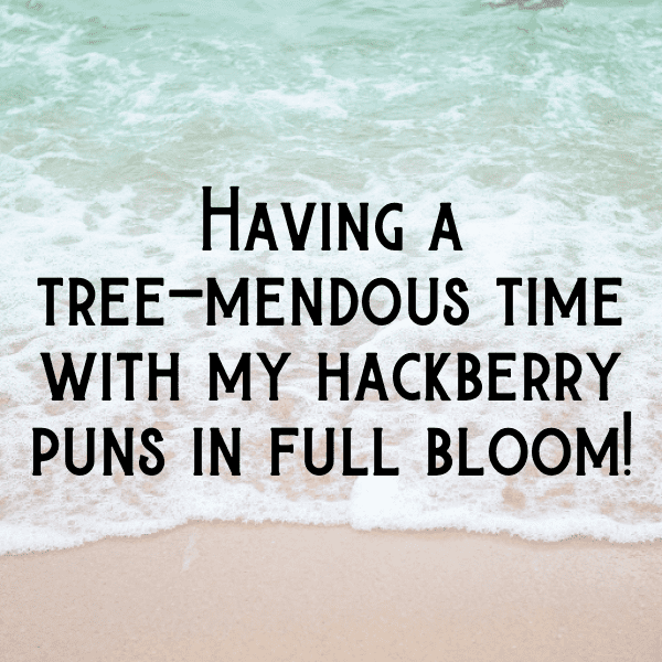 Hackberry Captions Photo For Instagram-JCNuhc