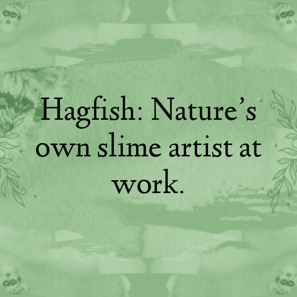 Hagfish Captions Photo For Instagram-OQlQ8T