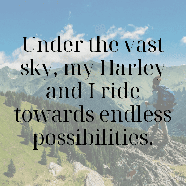 Harley-Davidson Road King Captions Photo for Instagram-BqPri9