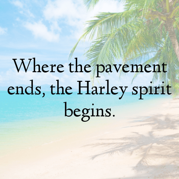Harley-Davidson Sportster Captions Photo for Instagram-AGpXvj