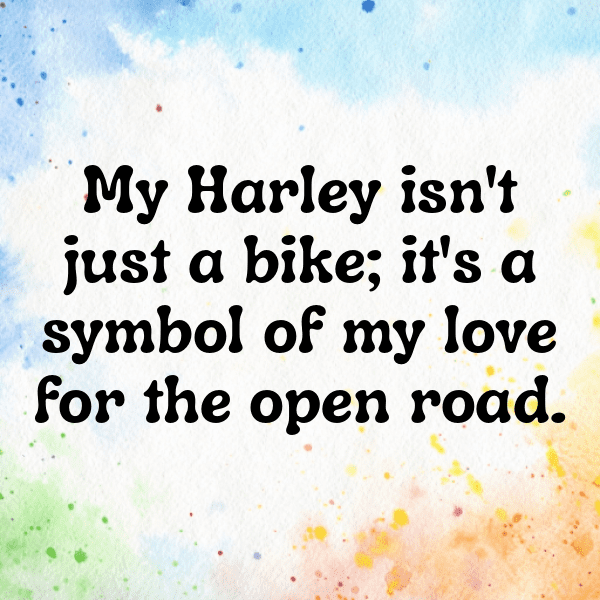 341+ Harley-Davidson Street Glide Captions for Instagram (Best, Funny & Short) 7 Harley-Davidson Street Glide Captions Image for Instagram-g0VgSL