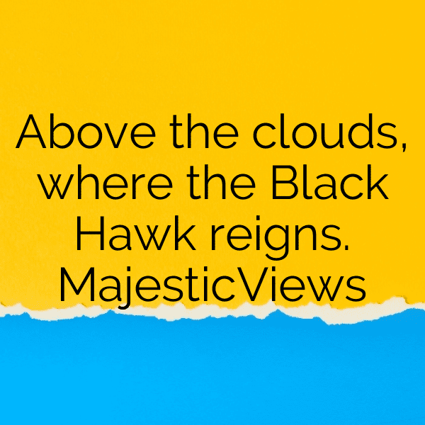 Hawk Captions Image For Instagram-hR8vdL