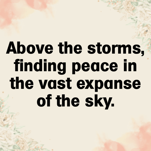 Hawk Captions Image For Instagram-lNIKMt