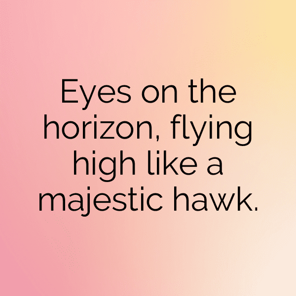 Hawk Captions Image For Instagram-nQANOS