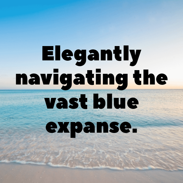 Hawk Captions Image For Instagram-WIIV0C