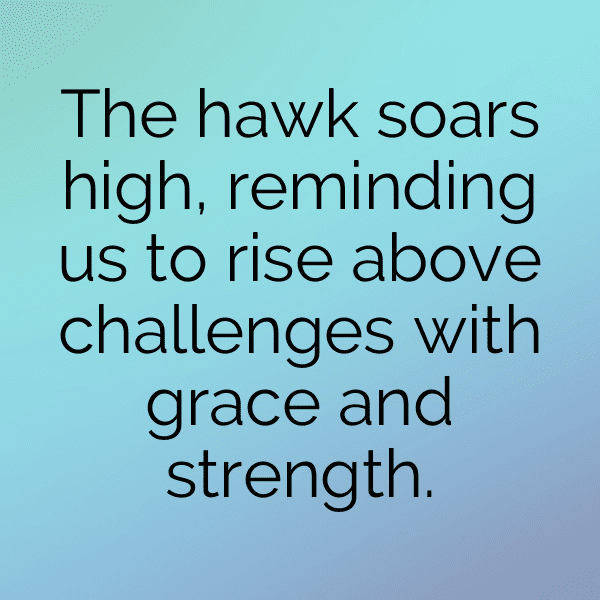 Hawk Captions Image For Instagram-XK9xdC