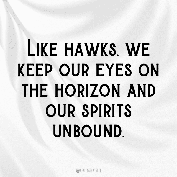 Hawk Captions Photo For Instagram-7AAj9c