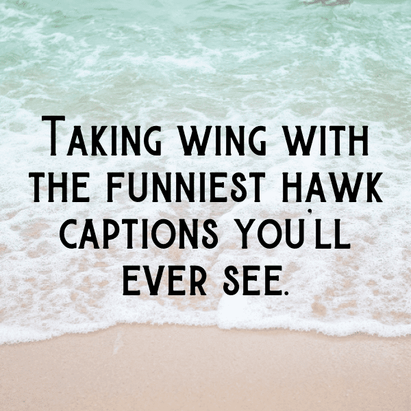 Hawk Captions Photo For Instagram-sVNbXi