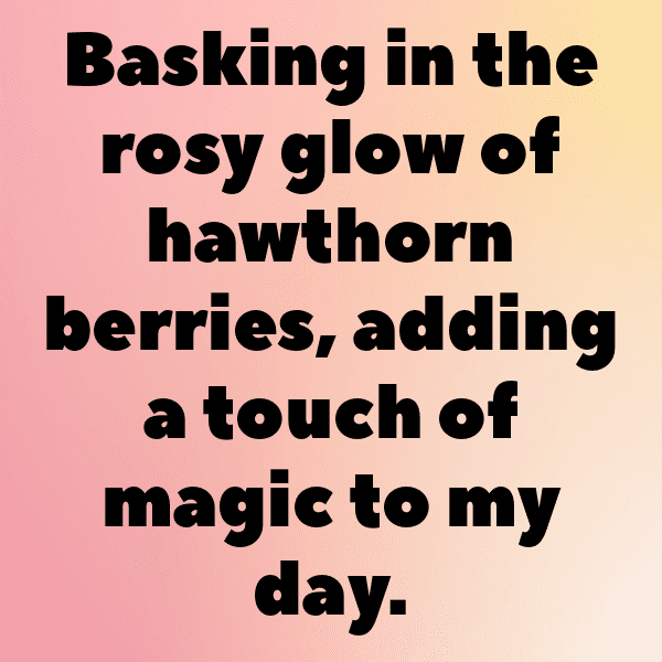 Hawthorn Berry Captions Image For Instagram-nRYbni