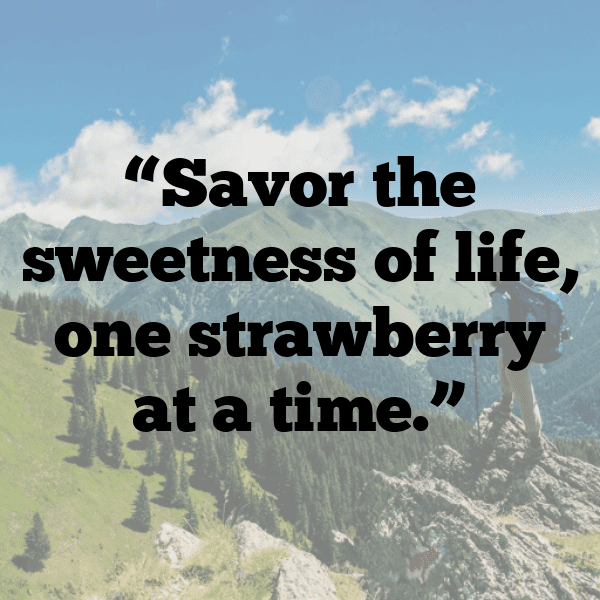 Hawthorn Berry Captions Photo For Instagram-wEur2X