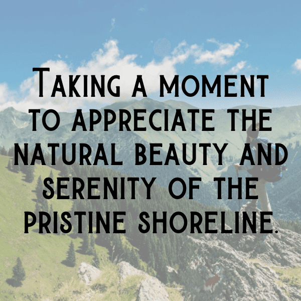 Heart of Palm Captions Image For Instagram-WYN8M2