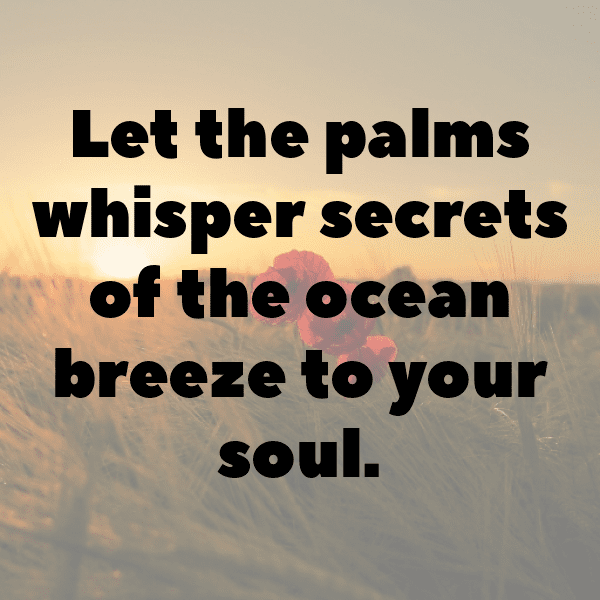 Heart of Palm Captions Photo For Instagram-9FmRou