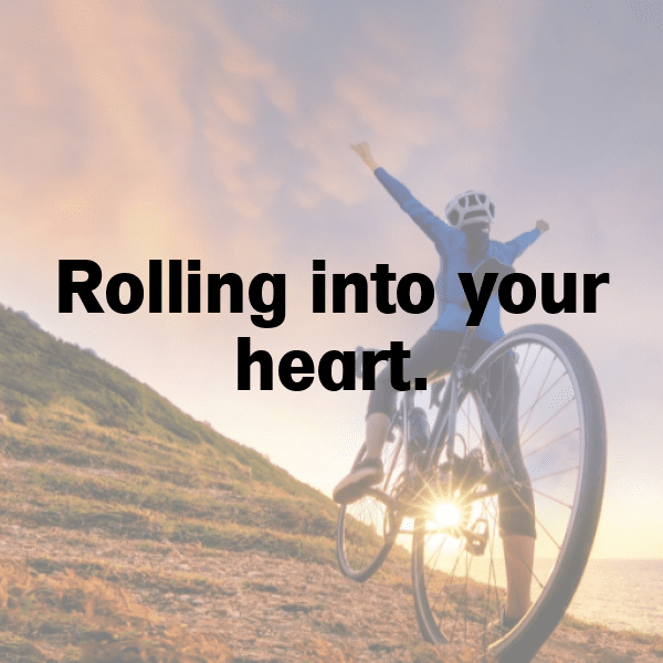 Hedgehog Captions Image For Instagram-gBBIDF