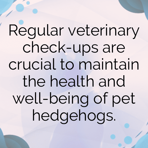 Hedgehog Captions Image For Instagram-HuZOgl