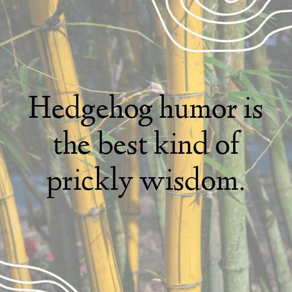 Hedgehog Captions Image For Instagram-ybnTnK