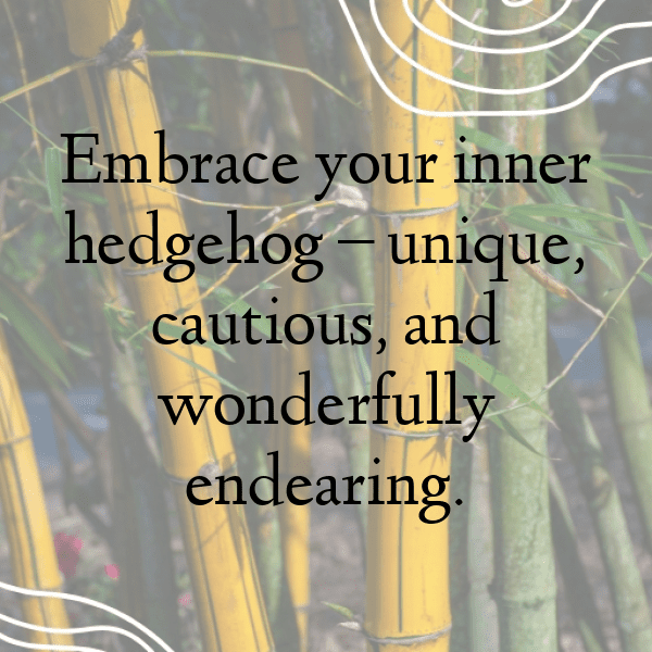 Hedgehog Captions Photo For Instagram-IioKUk