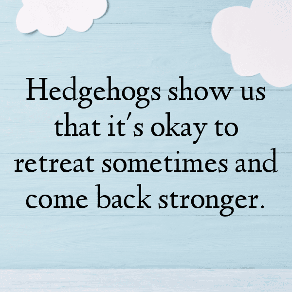 Hedgehog Captions Photo For Instagram-Zzc9wC