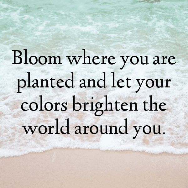 Hibiscus Captions Image For Instagram-AEofWE