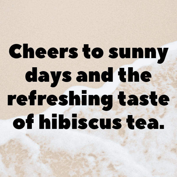 Hibiscus Captions Image For Instagram-biBvGj
