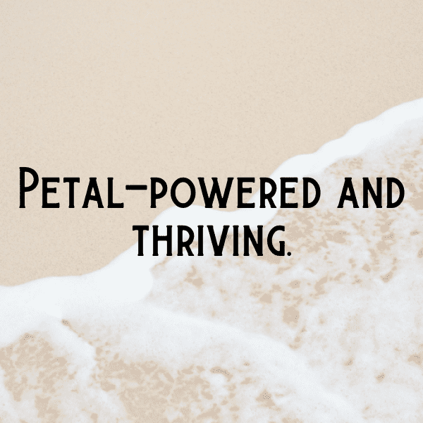 Hibiscus Captions Image For Instagram-HczseQ