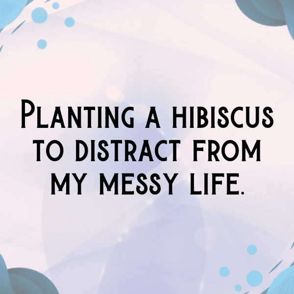 Hibiscus Captions Image For Instagram-ziE1tO