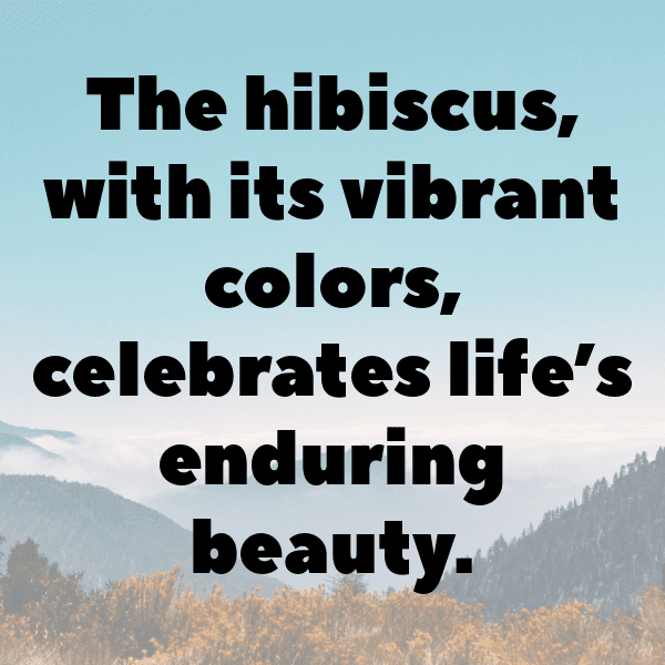 Hibiscus Captions Photo For Instagram-eN7VLo