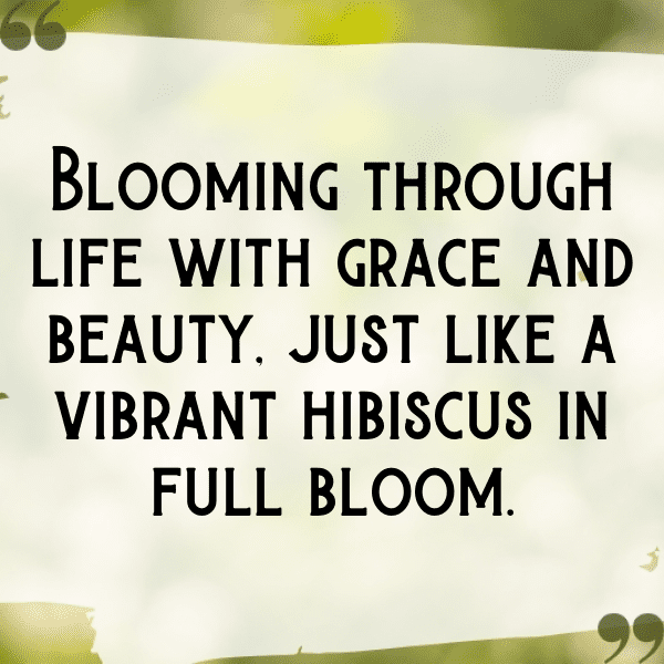 Hibiscus Captions Photo For Instagram-ItYVO8