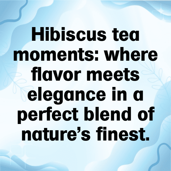Hibiscus Captions Photo For Instagram-qBagzH