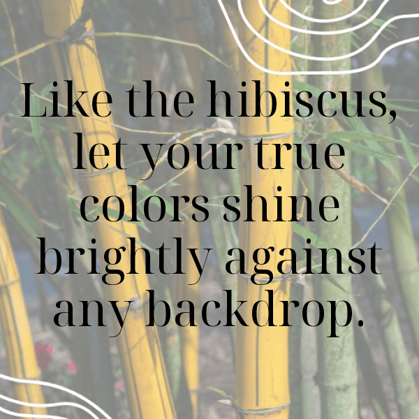 Hibiscus Captions Photo For Instagram-SXowwd