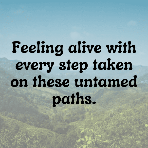 Hiking Adventure Captions Image for Instagram-lTQNNY