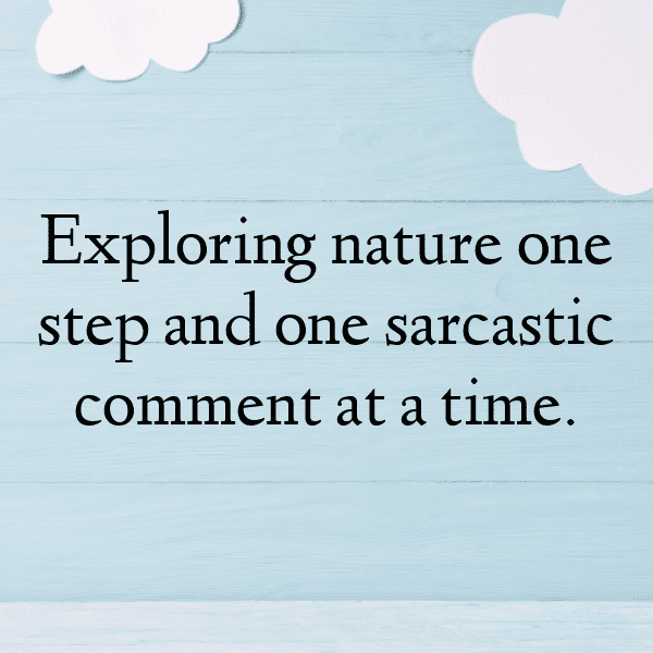 Hiking Adventure Captions Photo for Instagram-FQ8IMl