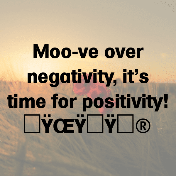 Hippopotamus Captions Image For Instagram-DWn2nX