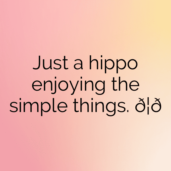 Hippopotamus Captions Image For Instagram-hA0khq