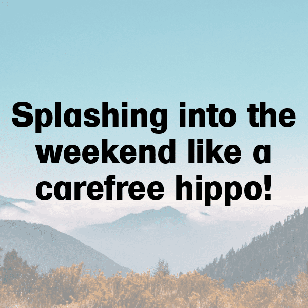 Hippopotamus Captions Image For Instagram-IUgWeW