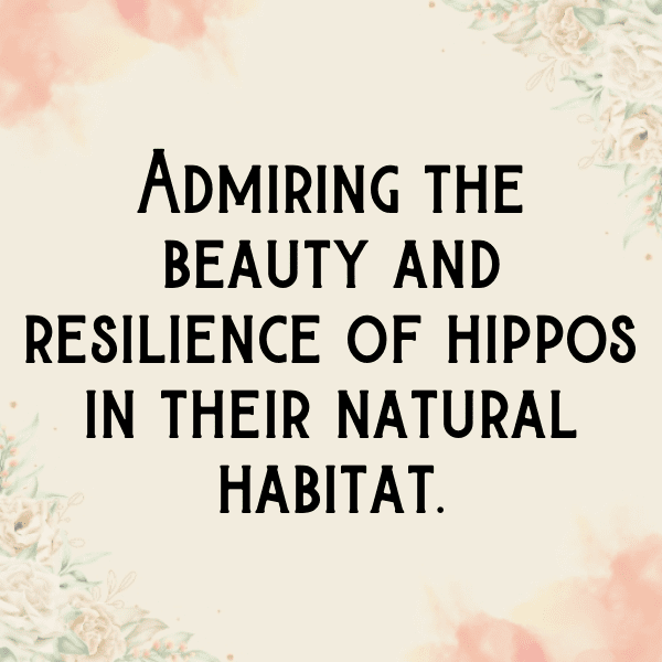 Hippopotamus Captions Image For Instagram-ZIQtSX