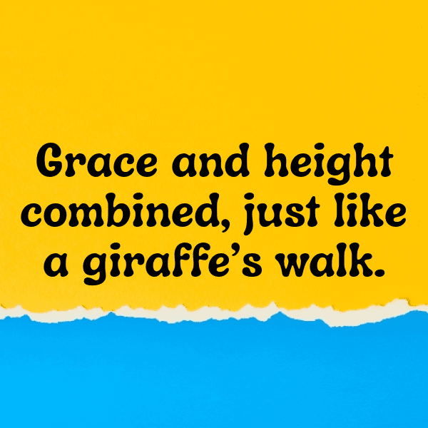 Hippopotamus Captions Photo For Instagram-NnXdnQ