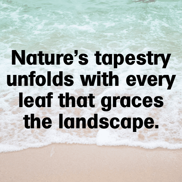 Hollyhock Captions Image For Instagram-tvh6UV