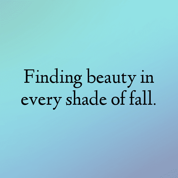 Hollyhock Captions Photo For Instagram-KU4HaS