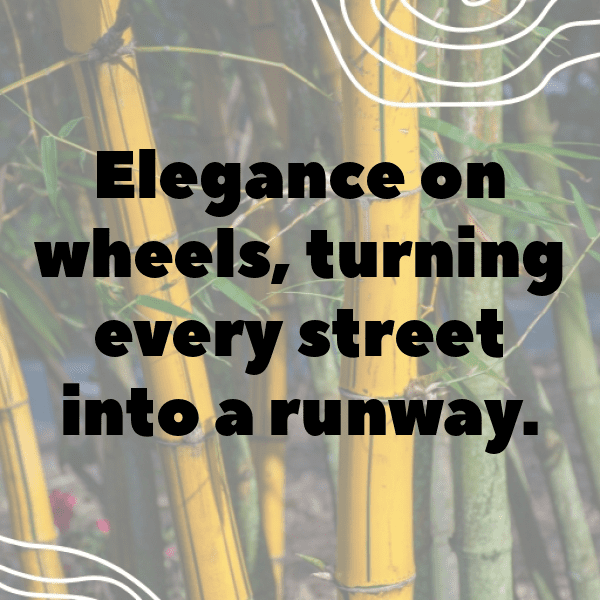 Honda Civic Captions Image for Instagram-kQgawT