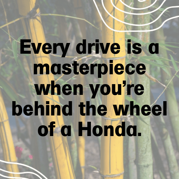 Honda Civic Captions Photo for Instagram-Jla6Pm