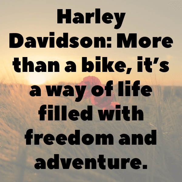 Honda Rebel 500 Captions Image for Instagram-bMhDZy