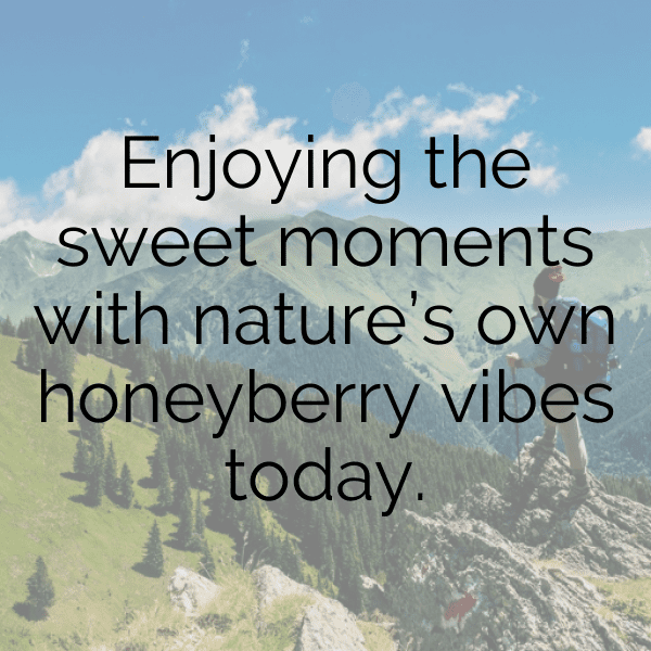 Honeyberry Captions Image For Instagram-t81VCN