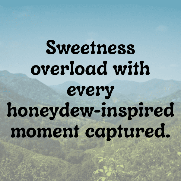 Honeydew Captions Image For Instagram-BoiK9y