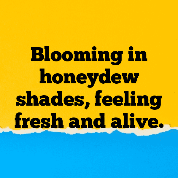 Honeydew Captions Photo For Instagram-lT720d